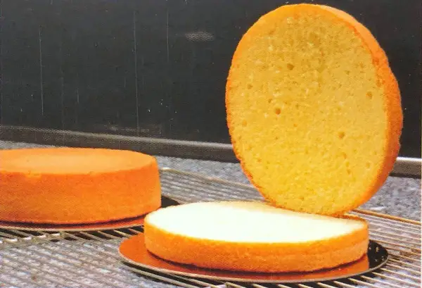 Trois disques de génoise dorée, prêts pour une recette. L'un est coupé en deux, révélant sa texture aérée.